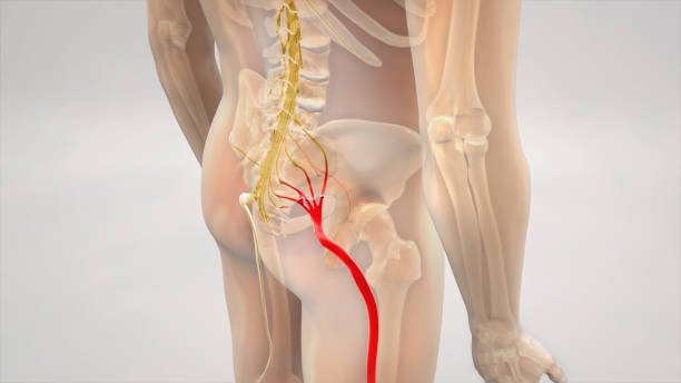 Sciatica Relief in Fleming Island: How Chiropractic Care Can Help You Find Relief